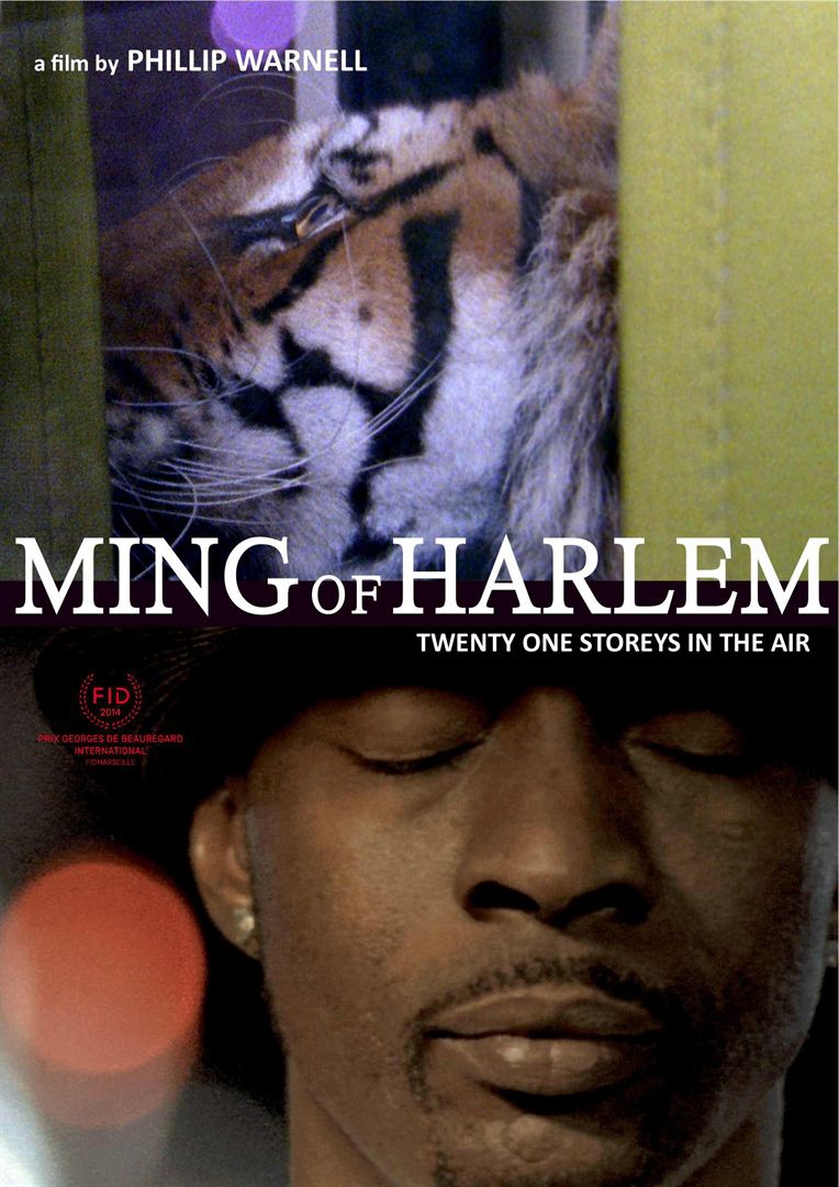 Ming of Harlem: Twenty One Storeys in the Air  (2014)