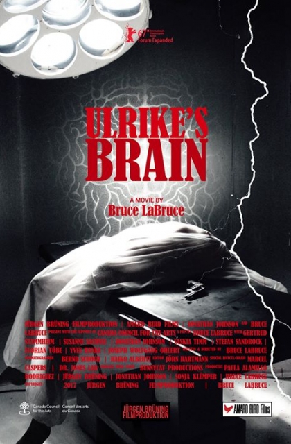 Ulrike’s Brain (2017)